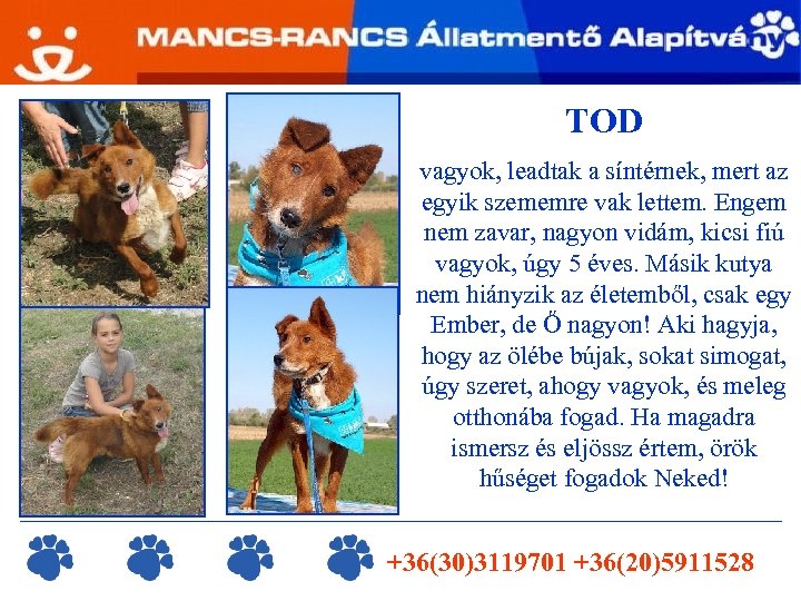 TOD vagyok, leadtak a síntérnek, mert az egyik szememre vak lettem. Engem nem zavar,