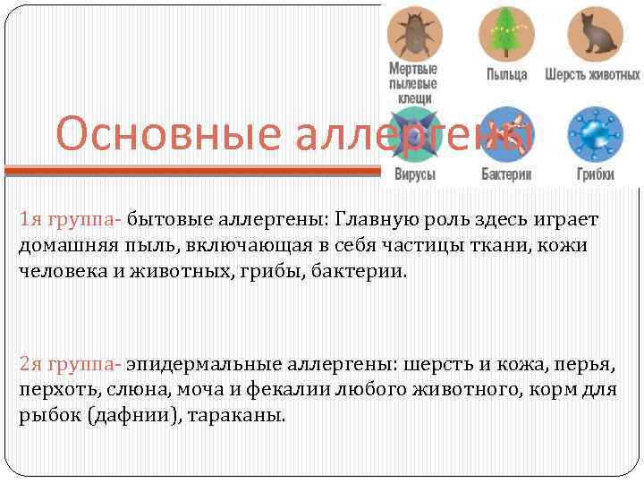 Основные аллергены 1 я группа- бытовые аллергены: Главную роль здесь играет домашняя пыль, включающая