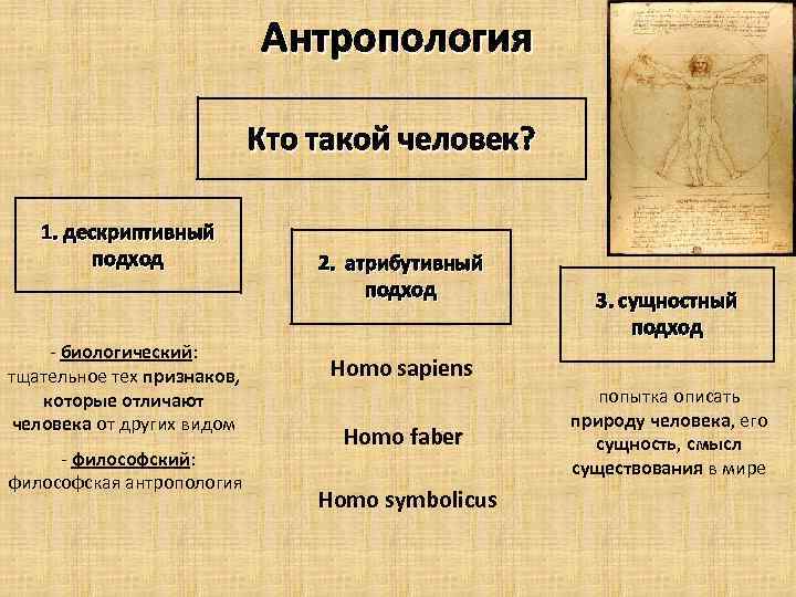 Антропология Кто такой человек? 1. деcкриптивный подход - биологический: тщательное тех признаков, которые отличают