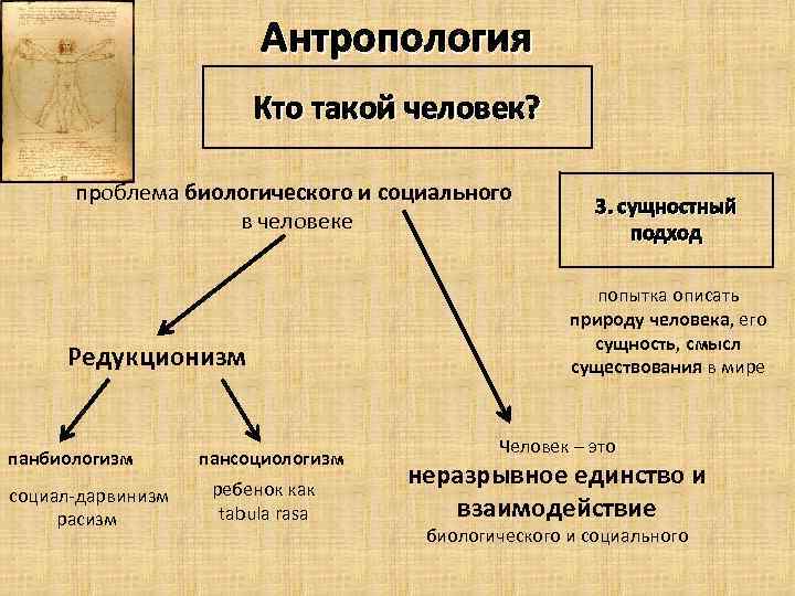 Антропология Кто такой человек? проблема биологического и социального в человеке Редукционизм панбиологизм социал-дарвинизм расизм