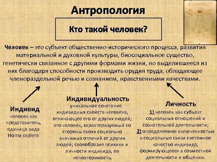 Антропология Кто такой человек? Человек – это субъект общественно-исторического процесса, развития материальной и духовной