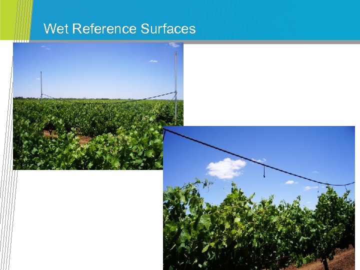 Wet Reference Surfaces 