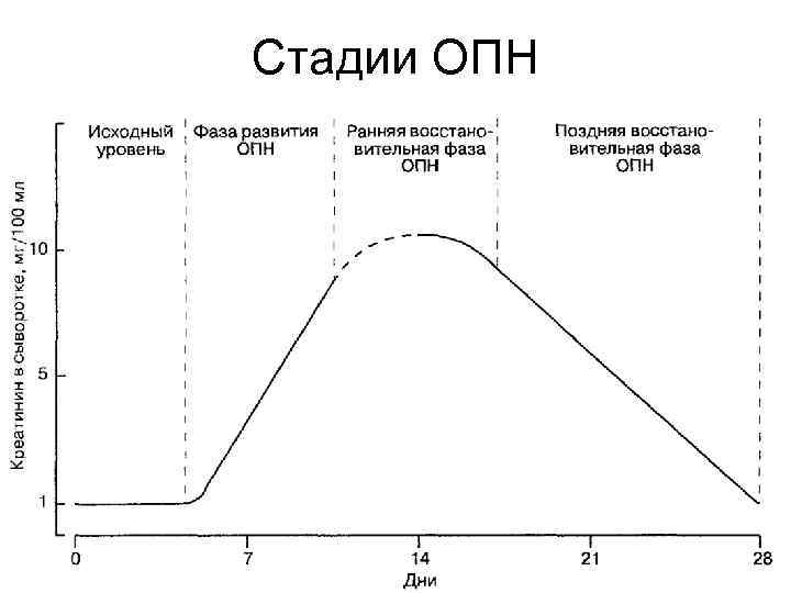 Стадии ОПН 