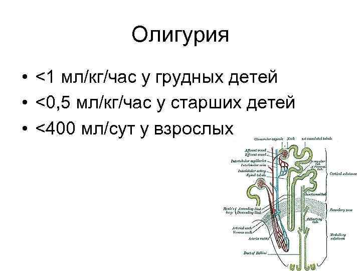 Олигурия • <1 мл/кг/час у грудных детей • <0, 5 мл/кг/час у старших детей