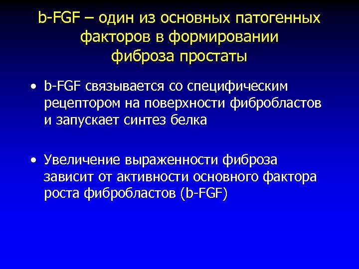 b-FGF – один из основных патогенных факторов в формировании фиброза простаты • b-FGF связывается