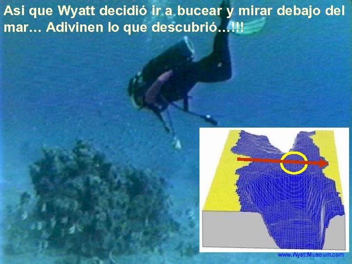 Asi que Wyatt decidió ir a bucear y mirar debajo del mar… Adivinen lo