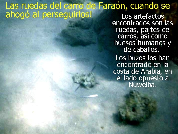 Las ruedas del carro de Faraón, cuando se ahogó al perseguirlos! Los artefactos encontrados