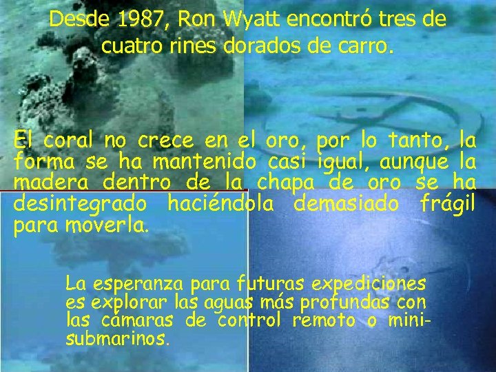 Desde 1987, Ron Wyatt encontró tres de cuatro rines dorados de carro. El coral