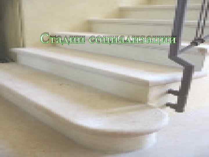 Стадии социализации 