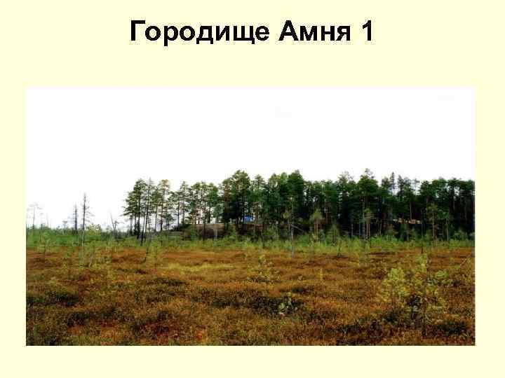 Городище Амня 1 