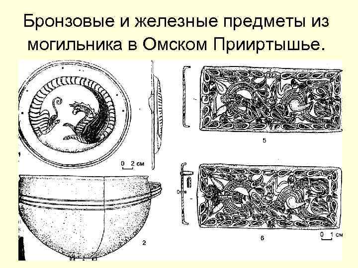 Бронзовые и железные предметы из могильника в Омском Прииртышье. 