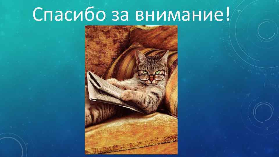 Спасибо за внимание! 