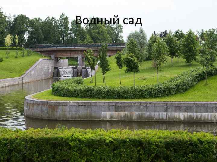 Водный сад 