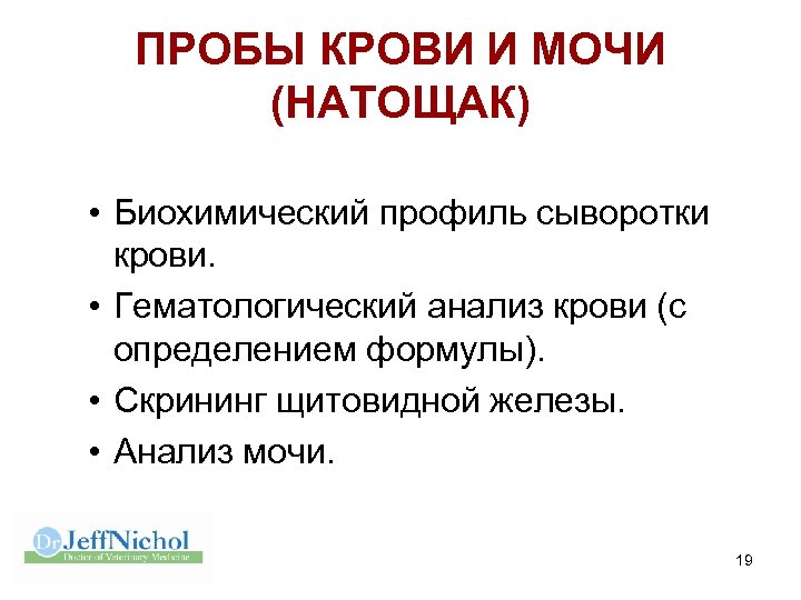 ПРОБЫ КРОВИ И МОЧИ (НАТОЩАК) • Биохимический профиль сыворотки крови. • Гематологический анализ крови