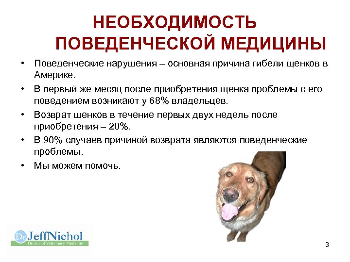 НЕОБХОДИМОСТЬ ПОВЕДЕНЧЕСКОЙ МЕДИЦИНЫ • Поведенческие нарушения – основная причина гибели щенков в Америке. •