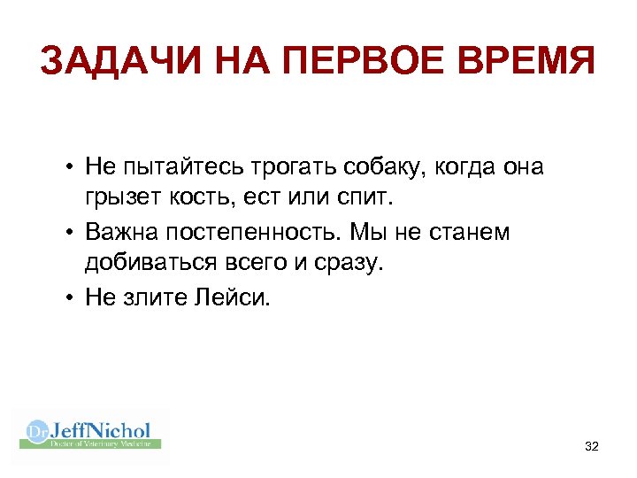 ЗАДАЧИ НА ПЕРВОЕ ВРЕМЯ • Не пытайтесь трогать собаку, когда она грызет кость, ест