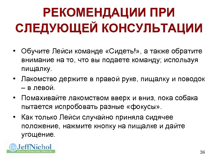 РЕКОМЕНДАЦИИ ПРИ СЛЕДУЮЩЕЙ КОНСУЛЬТАЦИИ • Обучите Лейси команде «Сидеть!» , а также обратите внимание