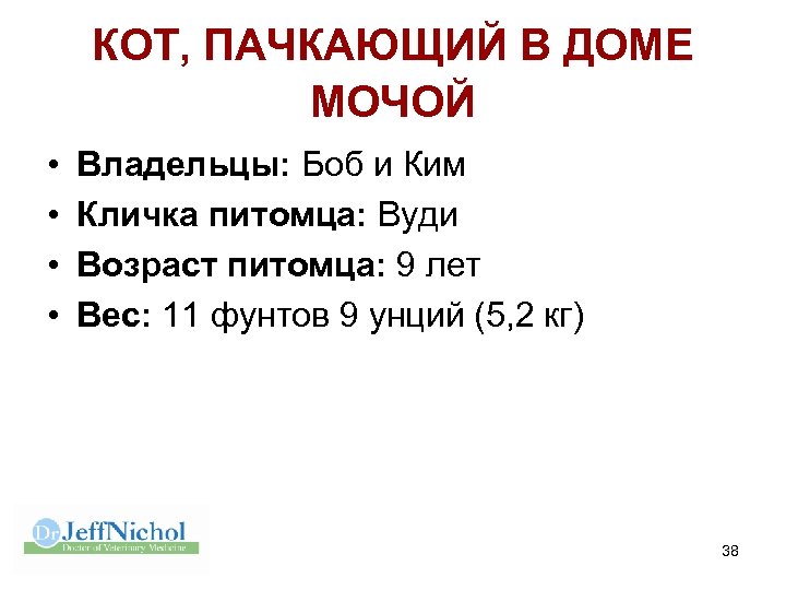 КОТ, ПАЧКАЮЩИЙ В ДОМЕ МОЧОЙ • • Владельцы: Боб и Ким Кличка питомца: Вуди