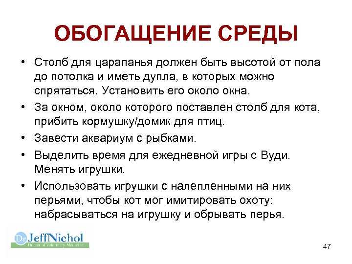 ОБОГАЩЕНИЕ СРЕДЫ • Столб для царапанья должен быть высотой от пола до потолка и