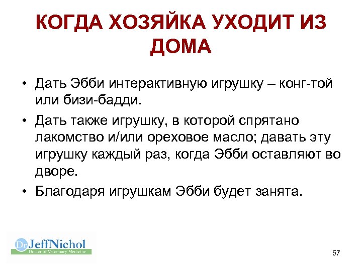 КОГДА ХОЗЯЙКА УХОДИТ ИЗ ДОМА • Дать Эбби интерактивную игрушку – конг-той или бизи-бадди.