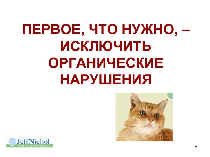 ПЕРВОЕ, ЧТО НУЖНО, – ИСКЛЮЧИТЬ ОРГАНИЧЕСКИЕ НАРУШЕНИЯ 6 