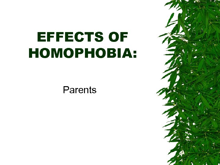 EFFECTS OF HOMOPHOBIA: Parents 