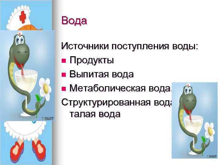 Вода Источники поступления воды: n Продукты n Выпитая вода n Метаболическая вода. Структурированная вода