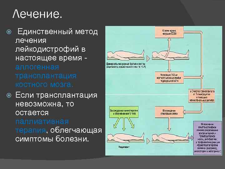 Лечение. Единственный метод лечения лейкодистрофий в настоящее время аллогенная трансплантация костного мозга. Если трансплантация