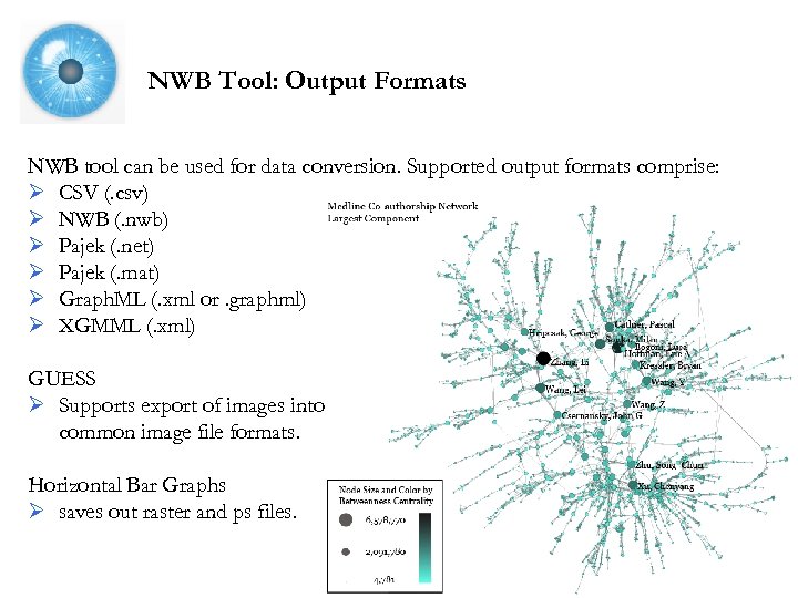 NWB Tool: Output Formats NWB tool can be used for data conversion. Supported output
