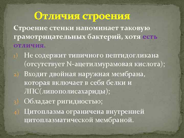 Отличия строения Строение стенки напоминает таковую грамотрицательных бактерий, хотя есть отличия. 1) Не содержит