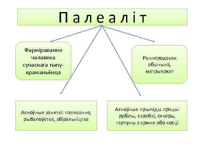Палеаліт Фарміраванне чалавека сучаснага тыпукраманьёнца Асноўныя заняткі: паляванне, рыбалоўства, збіральніцтва Раннеродавая абшчына, матрыярхат Асноўныя