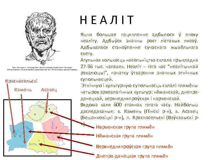 НЕАЛІТ Краснасельскі Камень Асавец Яшчэ большае пацяпленне адбылося ў эпоху неаліту. Адбыўся значны рост