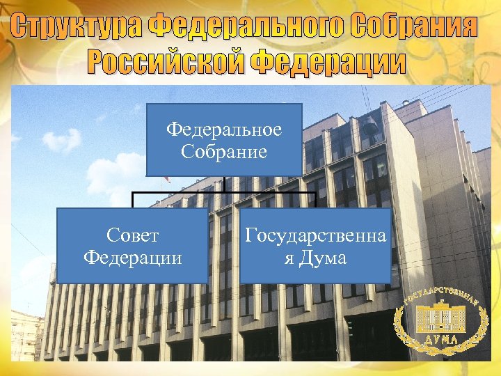 Федеральное Собрание Совет Федерации Государственна я Дума 