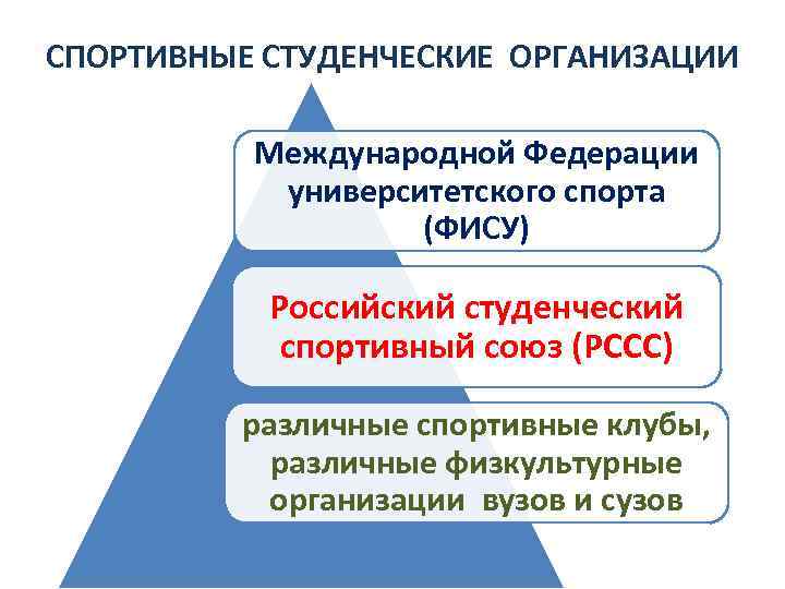 Структура фис. Международные спортивные организации. Международные организации спорта. Студенческие спортивные организации. Виды международных спортивных организаций.