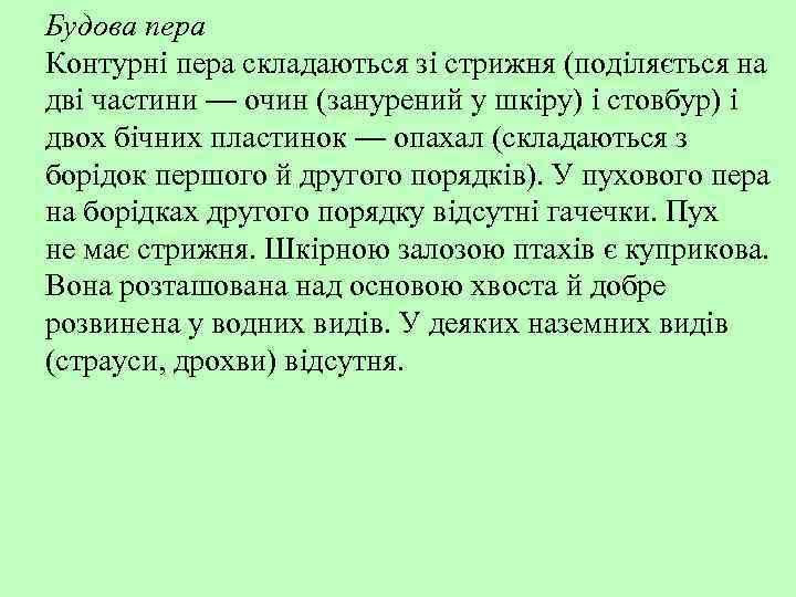 Будова пера Контурні пера складаються зі стрижня (поділяється на дві частини — очин (занурений