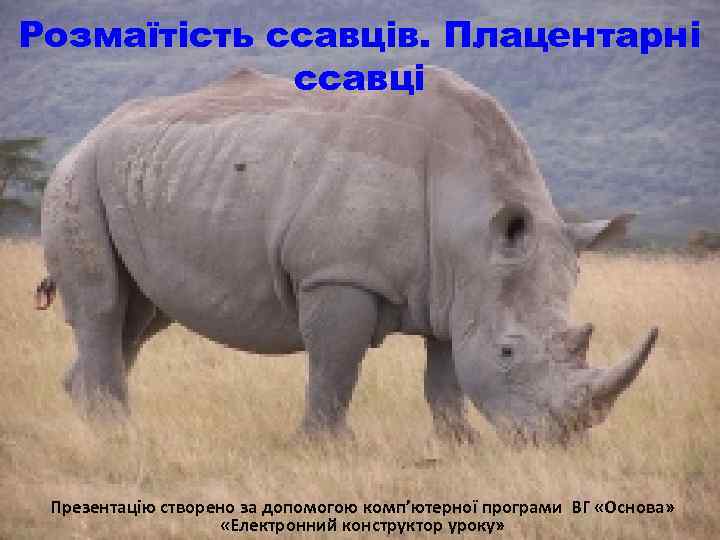 Розмаїтість ссавців. Плацентарні ссавці Презентацію створено за допомогою комп’ютерної програми ВГ «Основа» «Електронний конструктор
