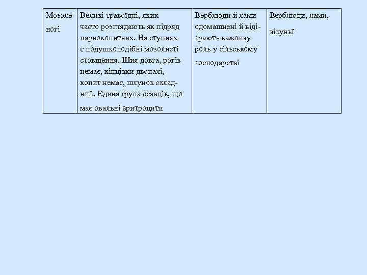 Мозоле- Великі травоїдні, яких часто розглядають як підряд ногі парнокопитних. На ступнях є подушкоподібні