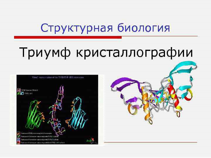 Структурная биология Триумф кристаллографии 