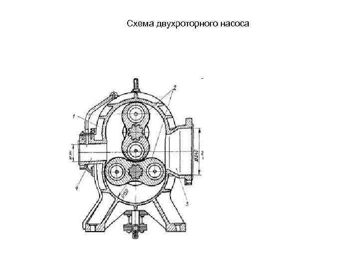 Роторный насос схема