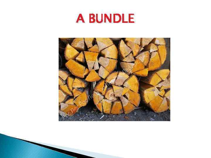 A BUNDLE 