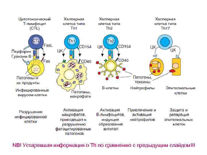 NB! Устаревшая информация о Тh по сравнению с предыдущим слайдом!!! 