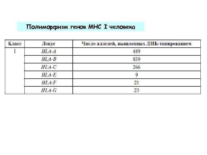 Полиморфизм генов МНС I человека 