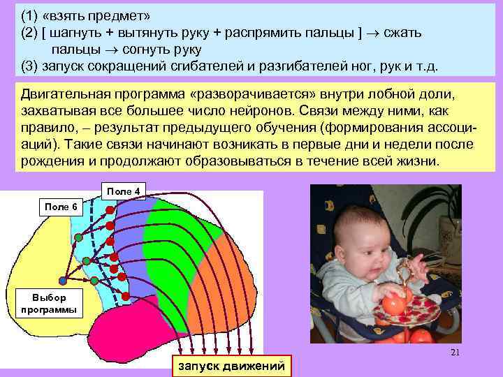 (1) «взять предмет» (2) [ шагнуть + вытянуть руку + распрямить пальцы ] сжать
