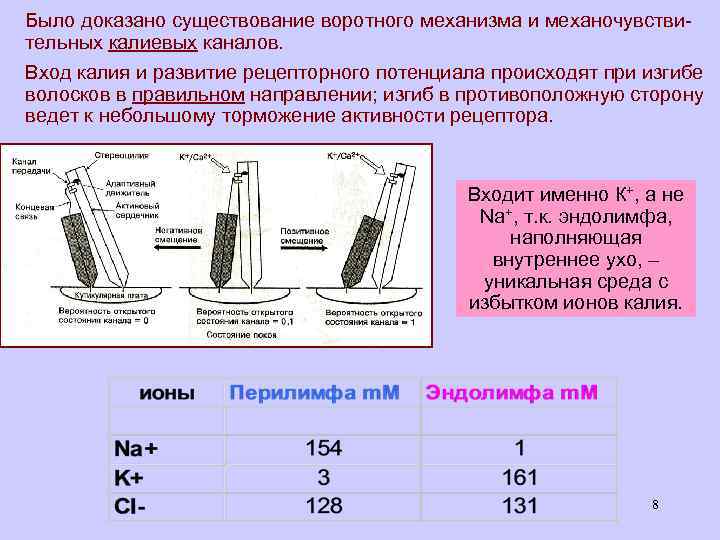 Войти в калию. Воротный механизм калиевых каналов. Свойства рецепторного потенциала. Равновесный калиевый потенциал. Механизм формирования рецепторного потенциала в фоторецепторе.