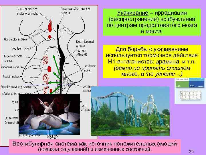 Укачивание – иррадиация (распространение) возбуждения по центрам продолговатого мозга и моста. Для борьбы с