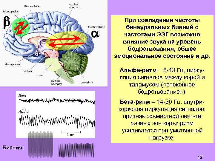  При совпадении частоты бинауральных биений с частотами ЭЭГ возможно влияние звука на уровень