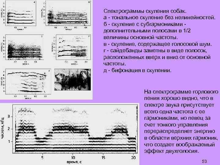 Спектрограммы скуления собак. а - тональное скуление без нелинейностей. б - скуление с субгармониками