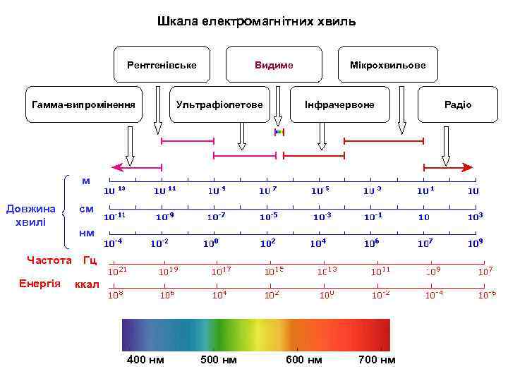 Шкала електромагнітних хвиль Рентгенівське Гамма-випромінення Видиме Ультрафіолетове Мікрохвильове Інфрачервоне м Довжина хвилі Частота Енергія