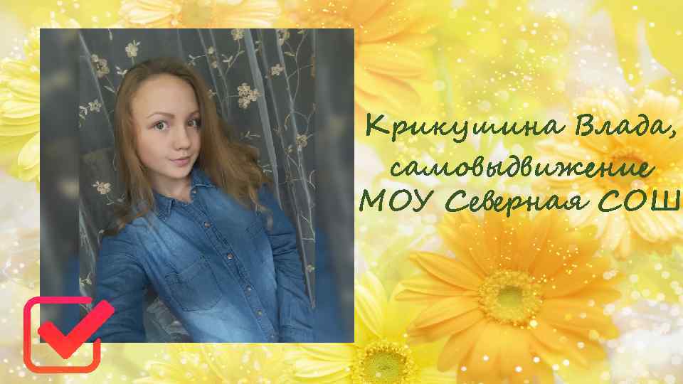 Крикушина Влада, самовыдвижение МОУ Северная СОШ 