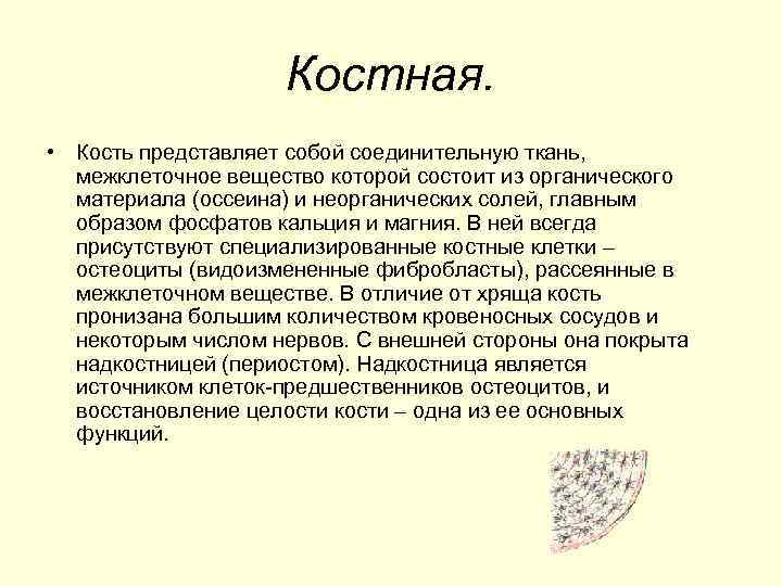 Костная. • Кость представляет собой соединительную ткань, межклеточное вещество которой состоит из органического материала
